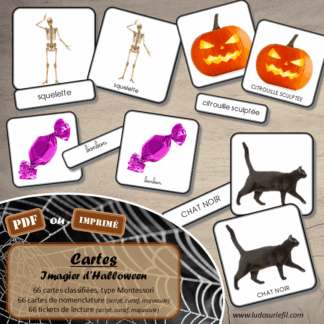 Jeu de cartes type Montessori (classifiées et de nomenclature) - Imagier d'Halloween - Personnages, décoration, animaux, sorcière, mort, peur - Photos sur fond blanc - Autocorrection au dos (noms pour lecteurs, symboles pour non lecteur) - 3 graphies disponibles - Script, majuscule, cursif - Document PDF à télécharger et imprimer ou jeu imprimé - 66 cartes - Tickets de lecture - atelier autocorrectif maternelle élémentaire - Cycle 1 ou 2 - discrimination visuelle, observation, culture générale, lecture de mots, langage oral, lexique - automne - lslf