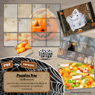 Jeu Puzzles Trac - Halloween - inspiré du célèbre Shut the box - Fermer la boîte - Trac - lance les dés, choisis les pièces et complète ton puzzle au maximum - Mathématiques, constellations, dénombrement, additions, décomposition additive, stratégie, probabilité, différentes représentations nombre - Jeu de société en 3 niveaux progressifs - de 1 à 18 - Atelier maternelle et élémentaire - PDF à télécharger et imprimer ou jeu imprimé - cycles 1 ou 2 - calcul - Peur, personnages, citrouilles, décoration - lslf