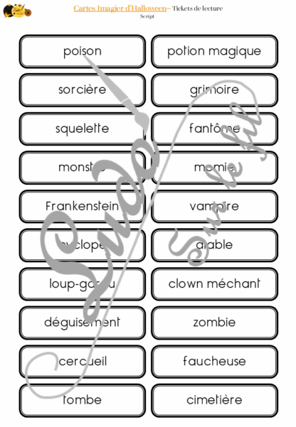 Jeu de cartes type Montessori (classifiées et de nomenclature) - Imagier d'Halloween - Personnages, décoration, animaux, sorcière, mort, peur - Photos sur fond blanc - Autocorrection au dos (noms pour lecteurs, symboles pour non lecteur) - 3 graphies disponibles - Script, majuscule, cursif - Document PDF à télécharger et imprimer ou jeu imprimé - 66 cartes - Tickets de lecture - atelier autocorrectif maternelle élémentaire - Cycle 1 ou 2 - discrimination visuelle, observation, culture générale, lecture de mots, langage oral, lexique - automne - lslf