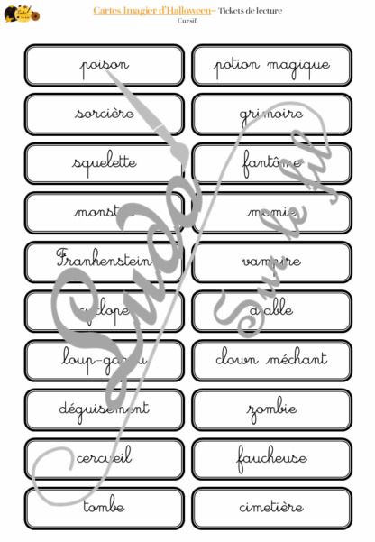 Jeu de cartes type Montessori (classifiées et de nomenclature) - Imagier d'Halloween - Personnages, décoration, animaux, sorcière, mort, peur - Photos sur fond blanc - Autocorrection au dos (noms pour lecteurs, symboles pour non lecteur) - 3 graphies disponibles - Script, majuscule, cursif - Document PDF à télécharger et imprimer ou jeu imprimé - 66 cartes - Tickets de lecture - atelier autocorrectif maternelle élémentaire - Cycle 1 ou 2 - discrimination visuelle, observation, culture générale, lecture de mots, langage oral, lexique - automne - lslf