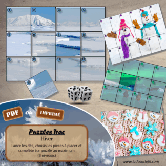 Jeu Puzzles Trac - Hiver - inspiré du célèbre Shut the box - Fermer la boîte - Trac - lance les dés, choisis les pièces et complète ton puzzle au maximum - Mathématiques, constellations, dénombrement, additions, décomposition additive, stratégie, probabilité, différentes représentations nombre - Jeu de société en 3 niveaux progressifs - de 1 à 18 - Atelier maternelle et élémentaire - PDF à télécharger et imprimer ou jeu imprimé - cycles 1 ou 2 - calcul - Hiver, froid, neige, banquise, saisons - lslf