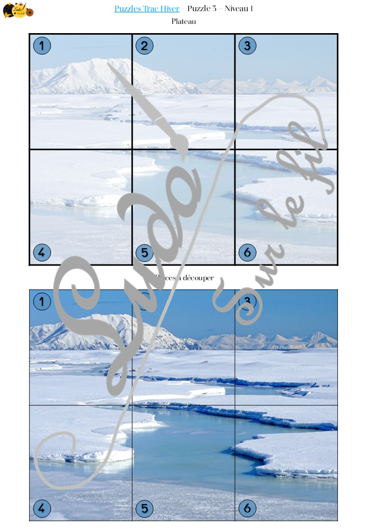 Jeu Puzzles Trac - Hiver - inspiré du célèbre Shut the box - Fermer la boîte - Trac - lance les dés, choisis les pièces et complète ton puzzle au maximum - Mathématiques, constellations, dénombrement, additions, décomposition additive, stratégie, probabilité, différentes représentations nombre - Jeu de société en 3 niveaux progressifs - de 1 à 18 - Atelier maternelle et élémentaire - PDF à télécharger et imprimer ou jeu imprimé - cycles 1 ou 2 - calcul - Hiver, froid, neige, banquise, saisons - lslf