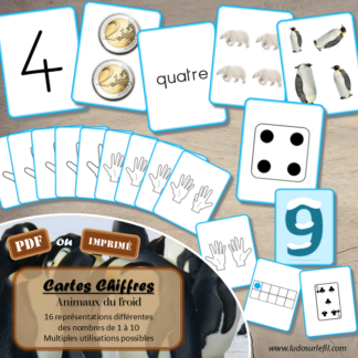 Cartes Chiffres - Thème Animaux du froid et de la banquise - Jeu d'association différentes représentations des nombres de 1 à 10 - 16 représentations différentes pour travailler différentes compétences - Chiffres, écrit en lettres (cursif, script et majuscule), quantité objets, constellations dé, doigts main, cartes à jouer, jetons dans boite, anglais, pièces, ... - File numérique de 1 à 10 - Comparaison de quantité - Mémo ou affichage classe - jeu de memory ou bataille - Atelier autonome et autocorrectif maternelle et cycle 2 (CP) - IEF - PDF à télécharger et imprimer ou jeu imprimé - version cartes facile à découper - Mathématiques - Hiver, Pôles arctique et antarctique - lslf