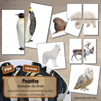 Jeu de puzzles - Animaux du froid - 2 et 4 pièces - Demi photos - 63 photos sur fond blanc à reconstituer - Jeu et atelier autocorrectif association - observation - discrimination visuelle - PDF à télécharger et à imprimer ou jeu imprimé - Autocorrection - Atelier maternelle Cycle 2 - Vocabulaire - Hiver, banquise, pôles, manchots, oiseaux, animaux marins, phoques, mammifères... - lslf
