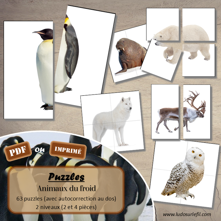 Jeu de puzzles - Animaux du froid - 2 et 4 pièces - Demi photos - 63 photos sur fond blanc à reconstituer - Jeu et atelier autocorrectif association - observation - discrimination visuelle - PDF à télécharger et à imprimer ou jeu imprimé - Autocorrection - Atelier maternelle Cycle 2 - Vocabulaire - Hiver, banquise, pôles, manchots, oiseaux, animaux marins, phoques, mammifères... - lslf