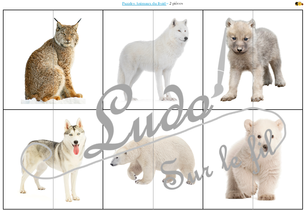 Jeu de puzzles - Animaux du froid - 2 et 4 pièces - Demi photos - 63 photos sur fond blanc à reconstituer - Jeu et atelier autocorrectif association - observation - discrimination visuelle - PDF à télécharger et à imprimer ou jeu imprimé - Autocorrection - Atelier maternelle Cycle 2 - Vocabulaire - Hiver, banquise, pôles, manchots, oiseaux, animaux marins, phoques, mammifères... - lslf