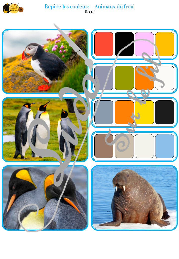 Jeu Repère les couleurs - Animaux de la banquise et du froid - photos / cartes à associer aux palettes de 4 couleurs - à télécharger et à imprimer - atelier autocorrectif maternelle ou cycle 2 - observation, déduction, logique, discrimination visuelle, vocabulaire et lexique - Thème hiver, animaux du froid, banquise, montagne, pôles - lslf