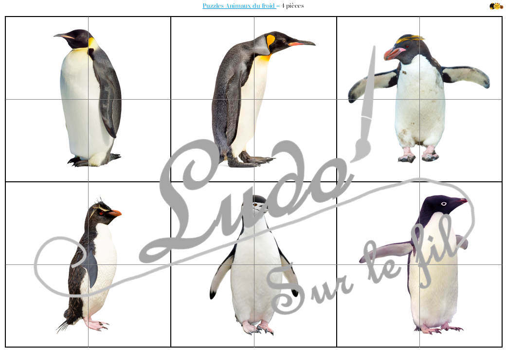 Jeu de puzzles - Animaux du froid - 2 et 4 pièces - Demi photos - 63 photos sur fond blanc à reconstituer - Jeu et atelier autocorrectif association - observation - discrimination visuelle - PDF à télécharger et à imprimer ou jeu imprimé - Autocorrection - Atelier maternelle Cycle 2 - Vocabulaire - Hiver, banquise, pôles, manchots, oiseaux, animaux marins, phoques, mammifères... - lslf