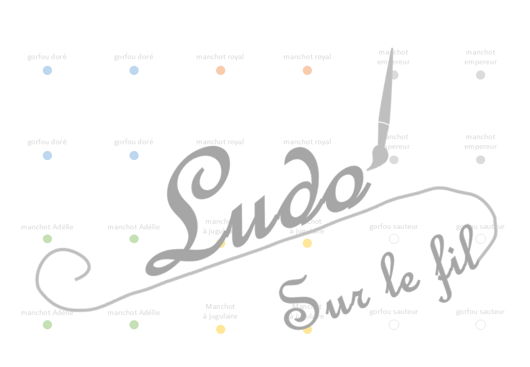 Jeu de puzzles - Animaux du froid - 2 et 4 pièces - Demi photos - 63 photos sur fond blanc à reconstituer - Jeu et atelier autocorrectif association - observation - discrimination visuelle - PDF à télécharger et à imprimer ou jeu imprimé - Autocorrection - Atelier maternelle Cycle 2 - Vocabulaire - Hiver, banquise, pôles, manchots, oiseaux, animaux marins, phoques, mammifères... - lslf