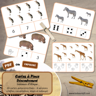 Jeu de cartes à pince de dénombrement de 1 à 15 - Thème Animaux de la savane et d'Afrique - 30 cartes autocorrectives avec différentes représentations des nombres - constellations du dé, chiffres, doigts de la main, mélangé - compter de 1 à 15 - 120 cartes réparties en 4 niveaux de difficulté - progressif - Autocorrection au dos - Atelier autonome maternelle ou élémentaire - Cycles 1 et 2 - Document PDF à télécharger et imprimer ou jeu imprimé - Motricité fine et pince Pouce-Index avec pinces à linge - ludique - Thème Animaux de la savane, d'Afrique et du désert, été - lslf