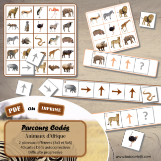 Suis les parcours codés - Animaux de la savane et d'Afrique - codage, repérage et vocabulaire spatial - jeu et atelier autonome et autocorrectif Maternelle (Cycle 1) et Primaire (Cycle 2) - Niveaux et difficulté progressifs - PDF à télécharger et à imprimer ou jeu imprimé - difficulté progressive et solutions - Animaux du désert, été - lslf