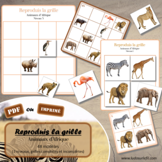 Reproduis la grille - Animaux de la savane et de l'Afrique - 48 modèles à reproduire - Repérage dans l'espace et vocabulaire spatial - Variante pour travailler la mémoire - Variante à deux pour le langage oral - Dicte, décris la grille pour que l'autre jouer la reproduise - jeu et atelier autonome Maternelle (Cycle 1) et Primaire (Cycle 2) - PDF à télécharger et à imprimer ou jeu imprimé - difficulté progressive - repérage spatial - se repérer dans une grille, dans un tableau - Thème Animaux d'Afrique, Animaux de la savane et du désert, été - lslf