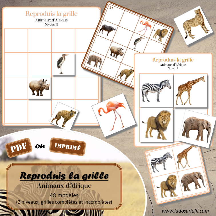 Reproduis la grille - Animaux de la savane et de l'Afrique - 48 modèles à reproduire - Repérage dans l'espace et vocabulaire spatial - Variante pour travailler la mémoire - Variante à deux pour le langage oral - Dicte, décris la grille pour que l'autre jouer la reproduise - jeu et atelier autonome Maternelle (Cycle 1) et Primaire (Cycle 2) - PDF à télécharger et à imprimer ou jeu imprimé - difficulté progressive - repérage spatial - se repérer dans une grille, dans un tableau - Thème Animaux d'Afrique, Animaux de la savane et du désert, été - lslf