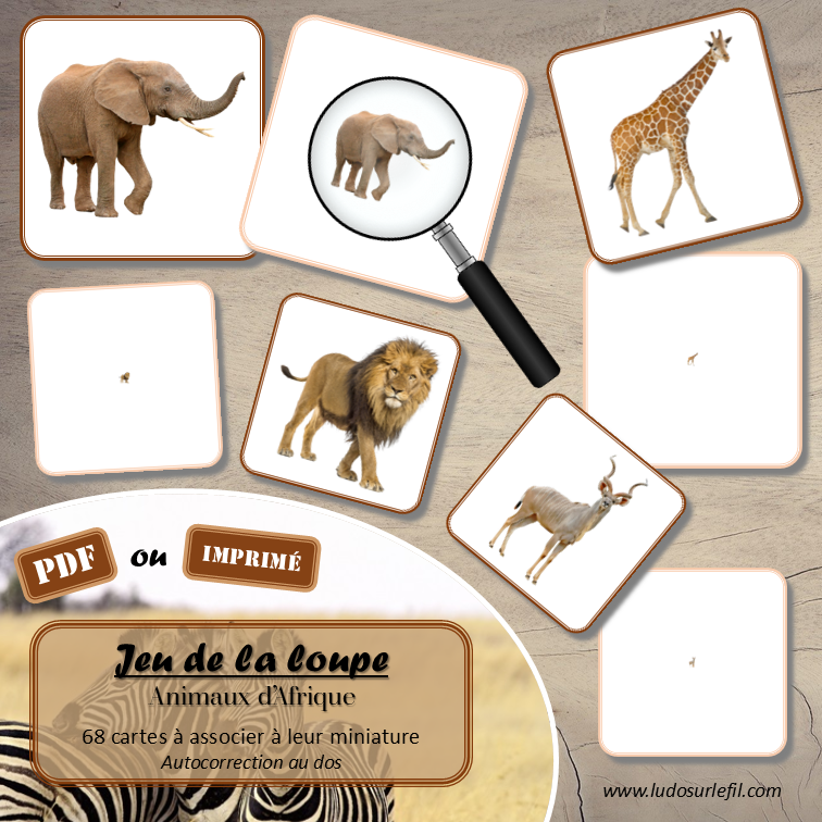 Jeu de la loupe - Animaux d'Afrique et de la savane - Vocabulaire, lexique - cartes à associer aux miniatures - Apprentissage de l'utilisation de la loupe - document PDF à télécharger et à imprimer ou jeu imprimé - atelier autocorrectif et autonome maternelle - Animaux d'Afrique, de la savane, du désert, mammifères, oiseaux, insectes, reptiles... - Eté - lslf