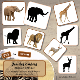Jeu des ombres - Animaux de la savane et d'Afrique - Vocabulaire, lexique - cartes à associer aux ombres - document PDF à télécharger et à imprimer ou jeu imprimé - atelier autocorrectif et autonome maternelle - Animaux savane, désert, Afrique, safari, été, mammifères, reptiles, oiseaux, insectes... - lslf