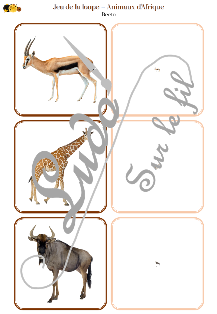 Jeu de la loupe - Animaux d'Afrique et de la savane - Vocabulaire, lexique - cartes à associer aux miniatures - Apprentissage de l'utilisation de la loupe - document PDF à télécharger et à imprimer ou jeu imprimé - atelier autocorrectif et autonome maternelle - Animaux d'Afrique, de la savane, du désert, mammifères, oiseaux, insectes, reptiles... - Eté - lslf