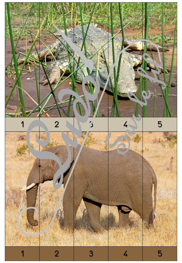 Jeu Puzzles numériques - Animaux de la savane et d'Afrique - 28 puzzles en 9 niveaux progressifs - Suite numérique de 1 à 20 - Comptage de 2 en 2 - Chiffres pairs et impairs - Comptage de 10 en 10 - Connaissance Chiffres et Dizaines - Mathématiques - Comptine numérique - mammifères, oiseaux, reptiles... Animaux d'Afrique, de la savane du désert, été - Atelier autonome maternelle et élémentaire - PDF à télécharger et imprimer ou jeu imprimé - cycles 1 ou 2 - lslf