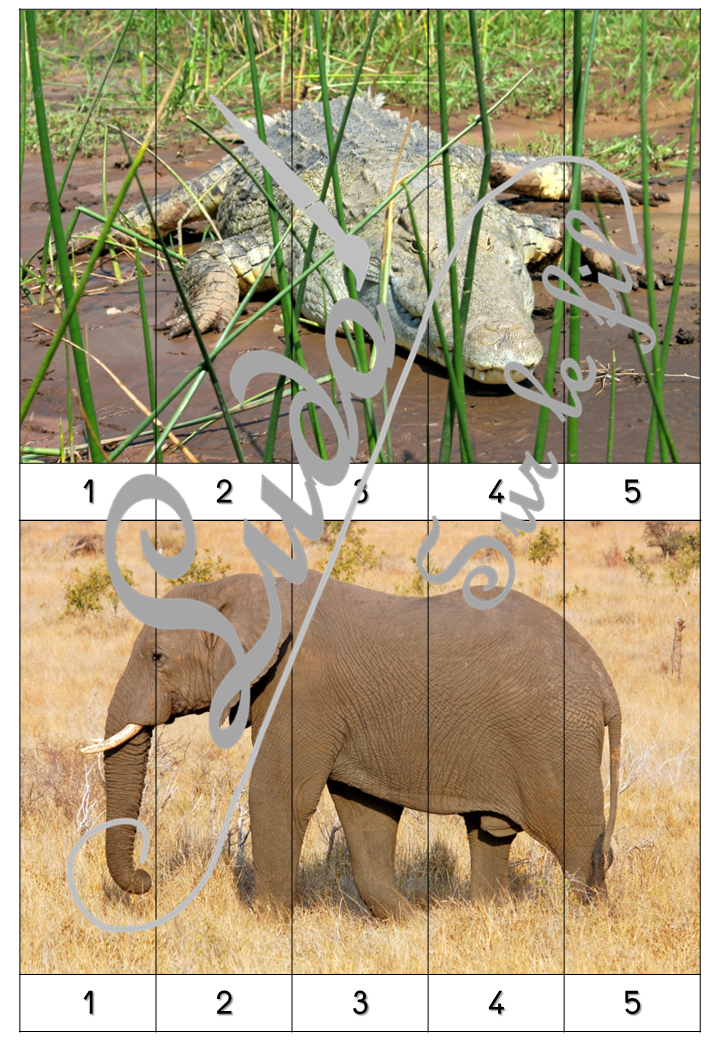 Jeu Puzzles numériques - Animaux de la savane et d'Afrique - 28 puzzles en 9 niveaux progressifs - Suite numérique de 1 à 20 - Comptage de 2 en 2 - Chiffres pairs et impairs - Comptage de 10 en 10 - Connaissance Chiffres et Dizaines - Mathématiques - Comptine numérique - mammifères, oiseaux, reptiles... Animaux d'Afrique, de la savane du désert, été - Atelier autonome maternelle et élémentaire - PDF à télécharger et imprimer ou jeu imprimé - cycles 1 ou 2 - lslf