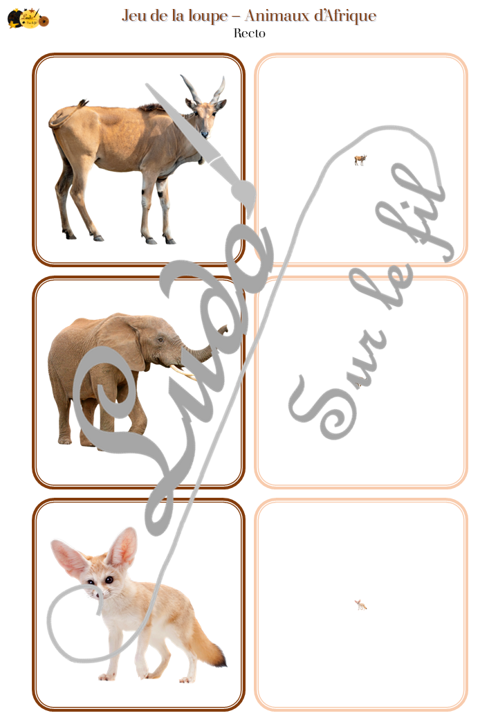Jeu de la loupe - Animaux d'Afrique – Image 4