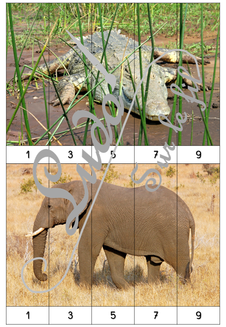 Jeu Puzzles numériques - Animaux de la savane et d'Afrique - 28 puzzles en 9 niveaux progressifs - Suite numérique de 1 à 20 - Comptage de 2 en 2 - Chiffres pairs et impairs - Comptage de 10 en 10 - Connaissance Chiffres et Dizaines - Mathématiques - Comptine numérique - mammifères, oiseaux, reptiles... Animaux d'Afrique, de la savane du désert, été - Atelier autonome maternelle et élémentaire - PDF à télécharger et imprimer ou jeu imprimé - cycles 1 ou 2 - lslf