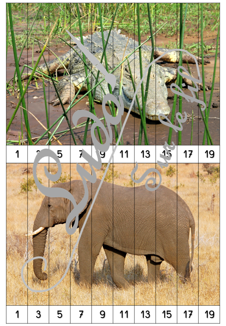 Jeu Puzzles numériques - Animaux de la savane et d'Afrique - 28 puzzles en 9 niveaux progressifs - Suite numérique de 1 à 20 - Comptage de 2 en 2 - Chiffres pairs et impairs - Comptage de 10 en 10 - Connaissance Chiffres et Dizaines - Mathématiques - Comptine numérique - mammifères, oiseaux, reptiles... Animaux d'Afrique, de la savane du désert, été - Atelier autonome maternelle et élémentaire - PDF à télécharger et imprimer ou jeu imprimé - cycles 1 ou 2 - lslf