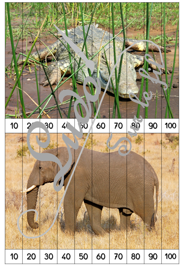 Jeu Puzzles numériques - Animaux de la savane et d'Afrique - 28 puzzles en 9 niveaux progressifs - Suite numérique de 1 à 20 - Comptage de 2 en 2 - Chiffres pairs et impairs - Comptage de 10 en 10 - Connaissance Chiffres et Dizaines - Mathématiques - Comptine numérique - mammifères, oiseaux, reptiles... Animaux d'Afrique, de la savane du désert, été - Atelier autonome maternelle et élémentaire - PDF à télécharger et imprimer ou jeu imprimé - cycles 1 ou 2 - lslf