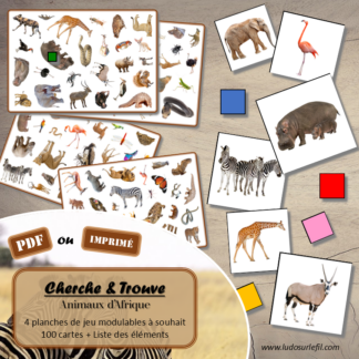 Cherche et Trouve - Animaux de la savane et d'Afrique - Photos - Lynx - mammifères, oiseaux, insectes, reptiles, félins, antilopes... de la savane, d'Afrique, du désert... Eté - Photos sur fond blanc - 4 planches pour un plateau modulable à souhait et différents niveaux de jeu - jusqu'à 100 cartes à trouver - jeu observation et rapidité - PDF à télécharger et à imprimer ou jeu imprimé - atelier maternelle - Noms des éléments - lslf