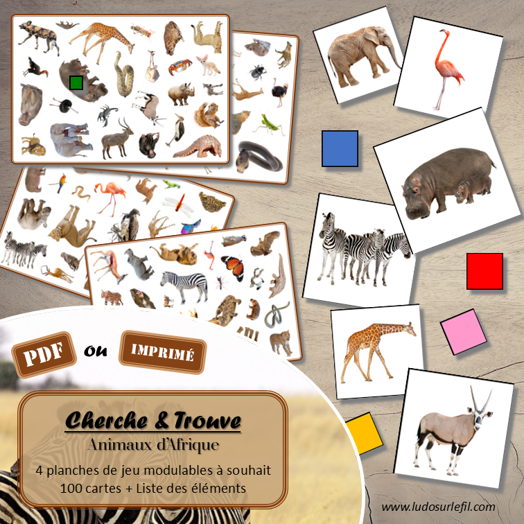 Cherche et Trouve - Animaux de la savane et d'Afrique - Photos - Lynx - mammifères, oiseaux, insectes, reptiles, félins, antilopes... de la savane, d'Afrique, du désert... Eté - Photos sur fond blanc - 4 planches pour un plateau modulable à souhait et différents niveaux de jeu - jusqu'à 100 cartes à trouver - jeu observation et rapidité - PDF à télécharger et à imprimer ou jeu imprimé - atelier maternelle - Noms des éléments - lslf