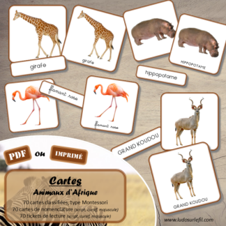 Jeu de cartes type Montessori (classifiées et de nomenclature) - Animaux d'Afrique, de la savane et du désert - Mammifères, félins, antilopes, oiseaux, insectes... - Photos sur fond blanc - Autocorrection au dos (noms pour lecteurs, symboles pour non lecteur) - 3 graphies disponibles - Script, majuscule, cursif - Document PDF à télécharger et imprimer ou jeu imprimé - 70 cartes - Tickets de lecture - atelier autocorrectif maternelle élémentaire - Cycle 1 ou 2 - discrimination visuelle, observation, culture générale, lecture de mots, langage oral, lexique - thème été - lslf