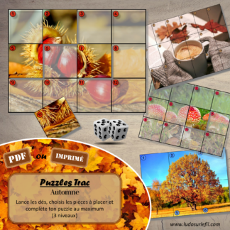 Jeu Puzzles Trac - Automne - inspiré du célèbre Shut the box - Fermer la boîte - Trac - lance les dés, choisis les pièces et complète ton puzzle au maximum - Mathématiques, constellations, dénombrement, additions, décomposition additive, stratégie, probabilité, différentes représentations nombre - Jeu de société en 3 niveaux progressifs - de 1 à 18 - Atelier maternelle et élémentaire - PDF à télécharger et imprimer ou jeu imprimé - cycles 1 ou 2 - calcul - Automne, paysages, nature, fruits secs, pluie, météo, animaux, 4 saisons... - lslf