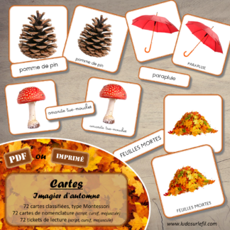 Jeu de cartes type Montessori (classifiées et de nomenclature) - Imagier d'automne - Animaux de la forêt, nature et forêt, aliments, arbres, champignons, objets, météo, vêtements... - Photos sur fond blanc - Autocorrection au dos (noms pour lecteurs, symboles pour non lecteur) - 3 graphies disponibles - Script, majuscule, cursif - Document PDF à télécharger et imprimer ou jeu imprimé - 72 cartes - Tickets de lecture - atelier autocorrectif maternelle élémentaire - Cycle 1 ou 2 - discrimination visuelle, observation, culture générale, lecture de mots, langage oral, lexique - 4 saisons - lslf