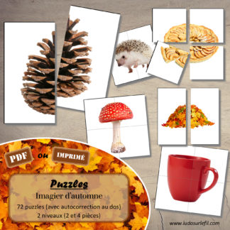 Jeu de puzzles - Imagier d'automne - 2 et 4 pièces - Demi photos - 72 photos sur fond blanc à reconstituer - Jeu et atelier autocorrectif association - observation - discrimination visuelle - PDF à télécharger et à imprimer ou jeu imprimé - Autocorrection - Atelier maternelle Cycle 2 - Vocabulaire - Eléments symboliques de l'automne : animaux, nature, forêt, aliments, météo, objets, vêtements... - lslf