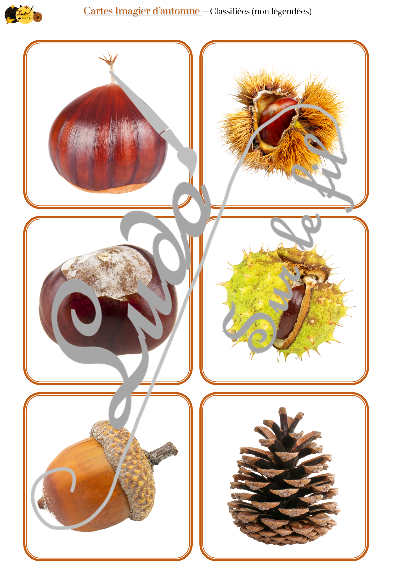 Jeu de cartes type Montessori (classifiées et de nomenclature) - Imagier d'automne - Animaux de la forêt, nature et forêt, aliments, arbres, champignons, objets, météo, vêtements... - Photos sur fond blanc - Autocorrection au dos (noms pour lecteurs, symboles pour non lecteur) - 3 graphies disponibles - Script, majuscule, cursif - Document PDF à télécharger et imprimer ou jeu imprimé - 72 cartes - Tickets de lecture - atelier autocorrectif maternelle élémentaire - Cycle 1 ou 2 - discrimination visuelle, observation, culture générale, lecture de mots, langage oral, lexique - 4 saisons - lslf