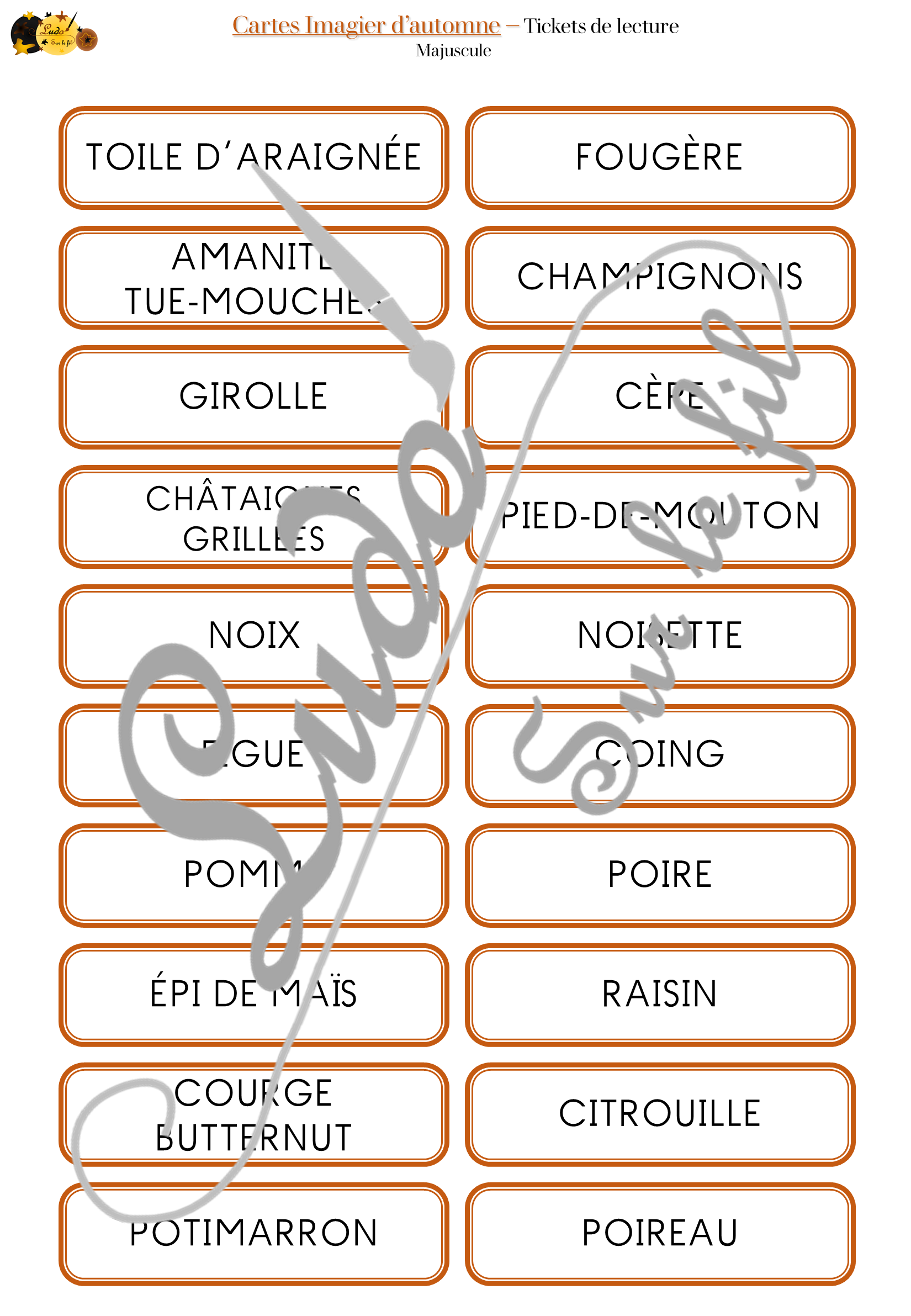 Jeu de cartes type Montessori (classifiées et de nomenclature) - Imagier d'automne - Animaux de la forêt, nature et forêt, aliments, arbres, champignons, objets, météo, vêtements... - Photos sur fond blanc - Autocorrection au dos (noms pour lecteurs, symboles pour non lecteur) - 3 graphies disponibles - Script, majuscule, cursif - Document PDF à télécharger et imprimer ou jeu imprimé - 72 cartes - Tickets de lecture - atelier autocorrectif maternelle élémentaire - Cycle 1 ou 2 - discrimination visuelle, observation, culture générale, lecture de mots, langage oral, lexique - 4 saisons - lslf
